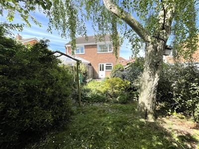 Picture 15